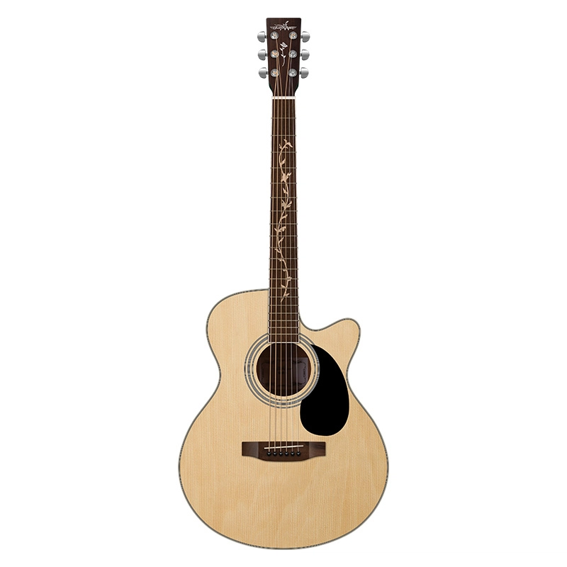 GuitaristG8-QH 4041