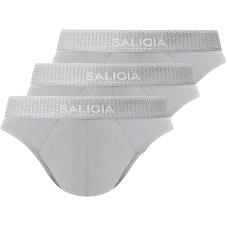 SALIGIA 3