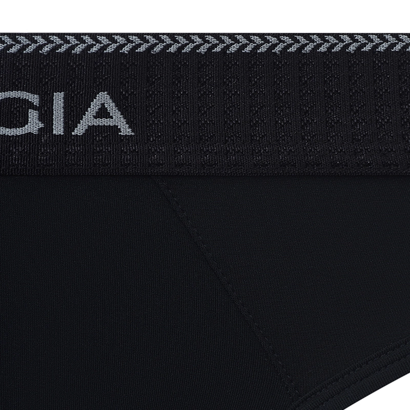 SALIGIA 3
