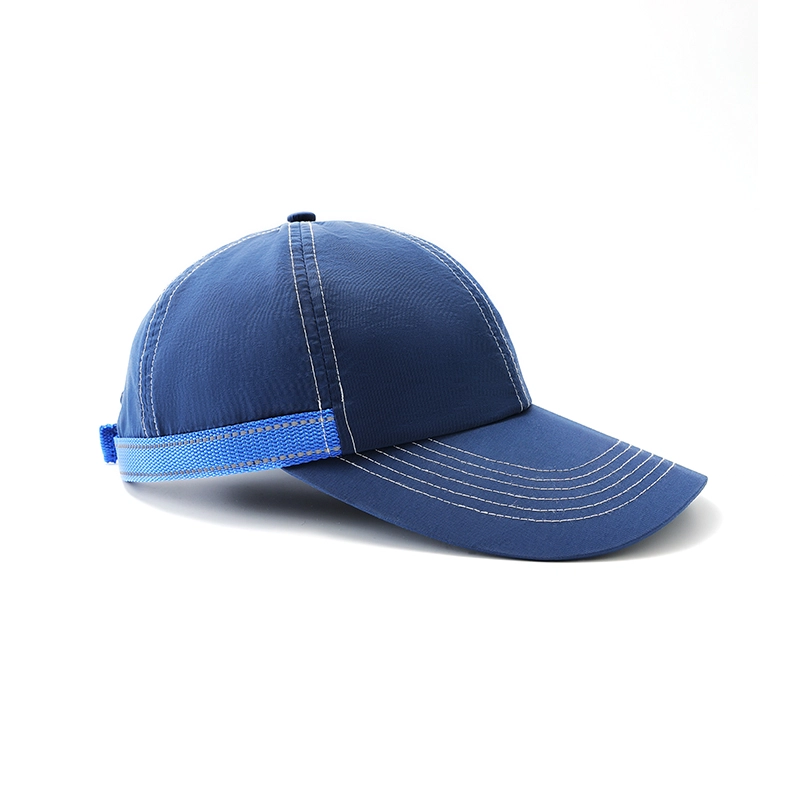 Dickies LOGO