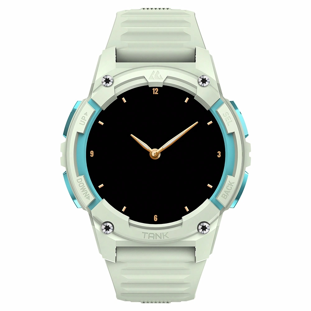 KOSPET S2 - GPS65ATMIP69K