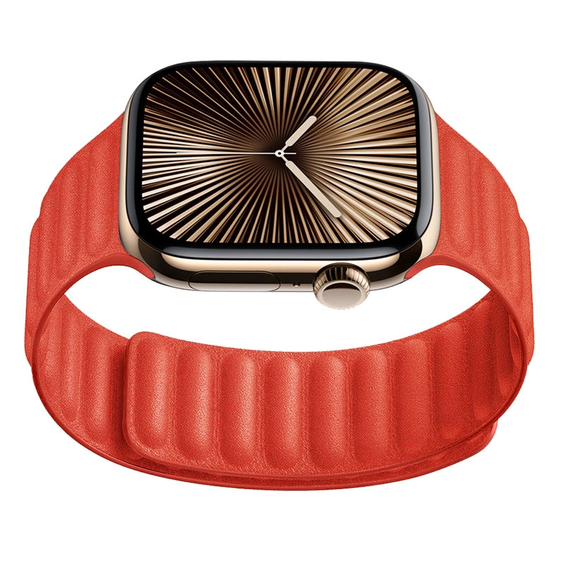 AppleWatchSeries9S8S6SEWatchUltraS5S2
