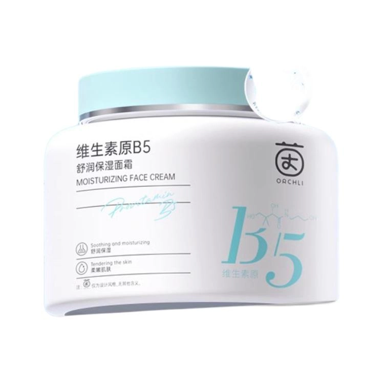 B5 800g