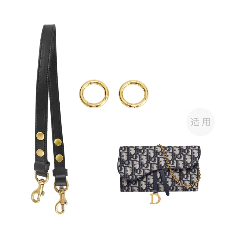 DIOR Saddle Oblique diy