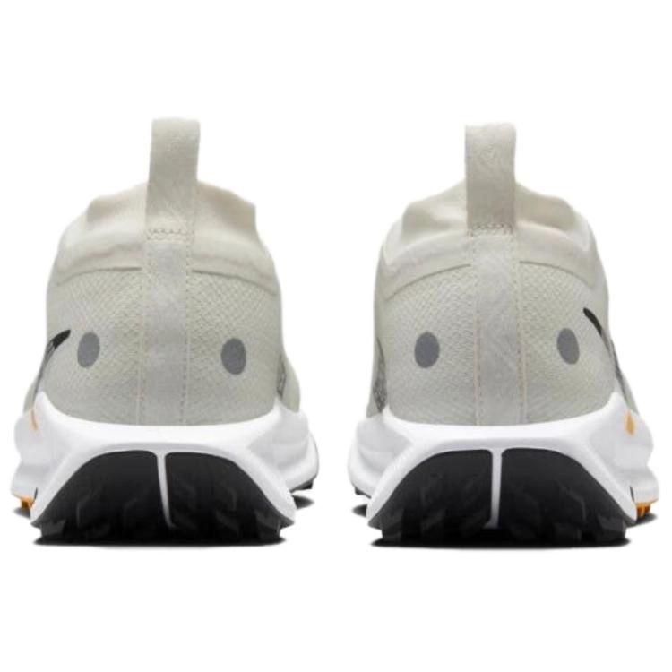 Nike Pegasus Trail 5 GORE-GTX