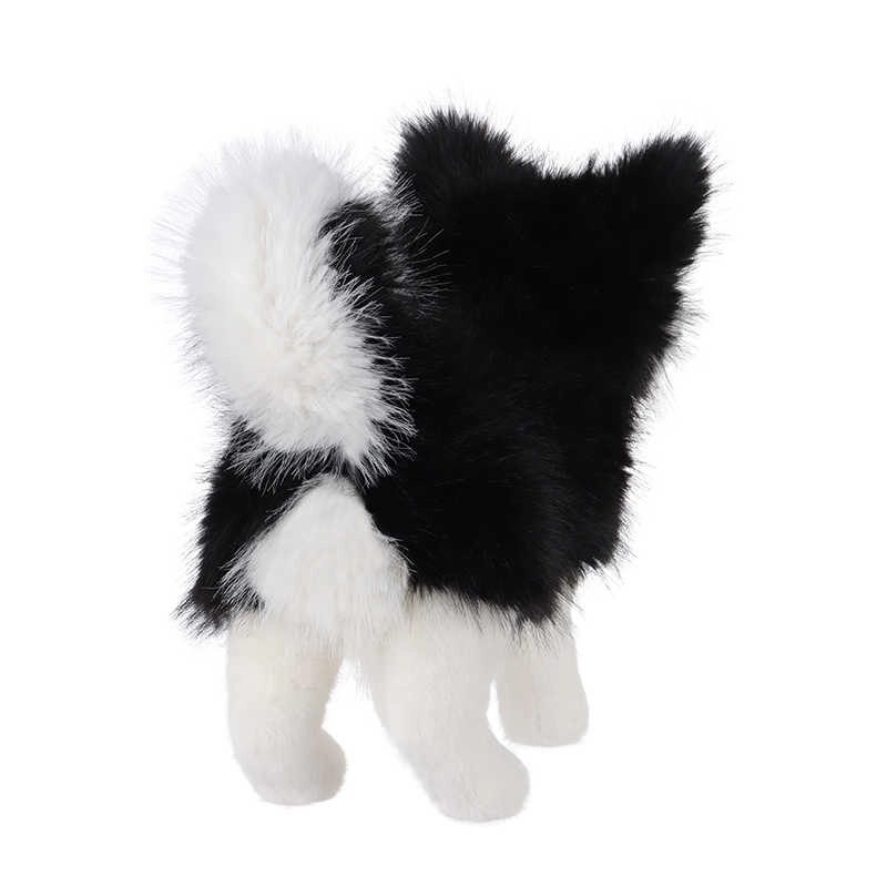 APRICOT LAMB 3 26cm