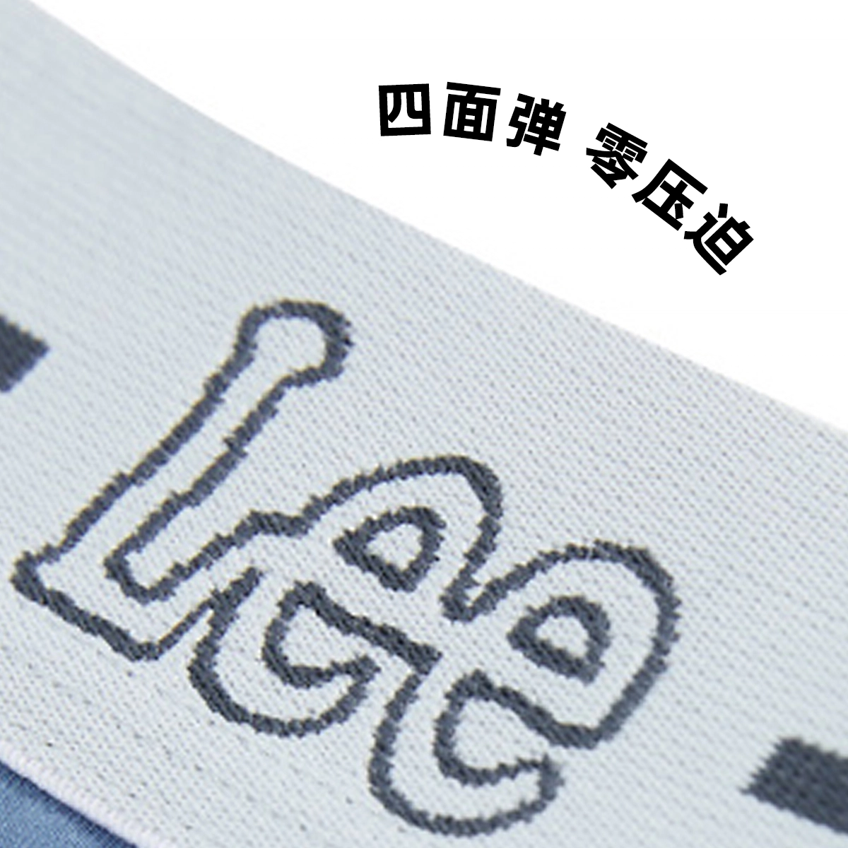 Lee Logo 3