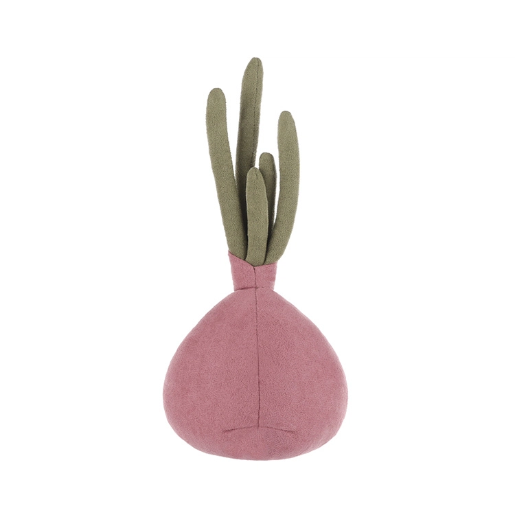 APRICOT LAMB 24cm