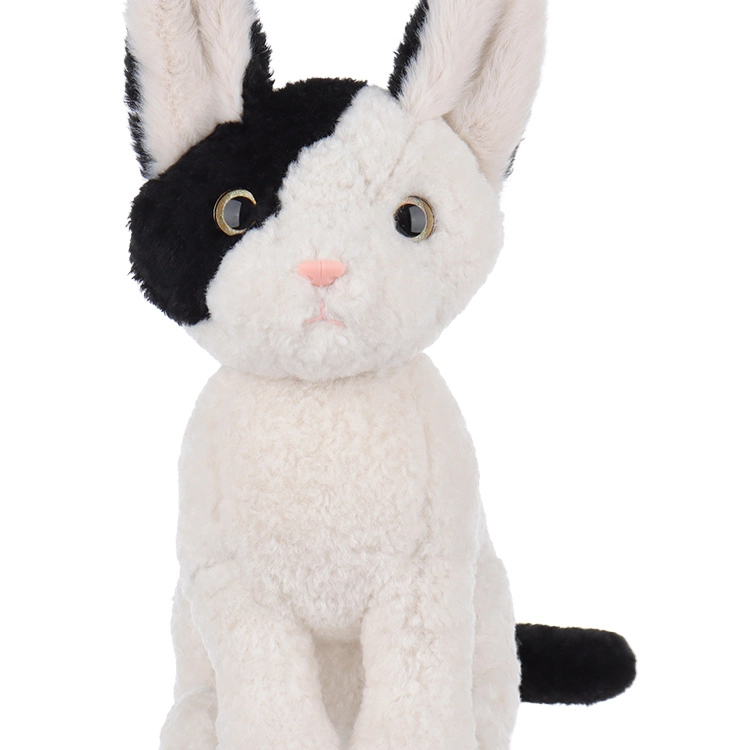 APRICOT LAMB 24cm