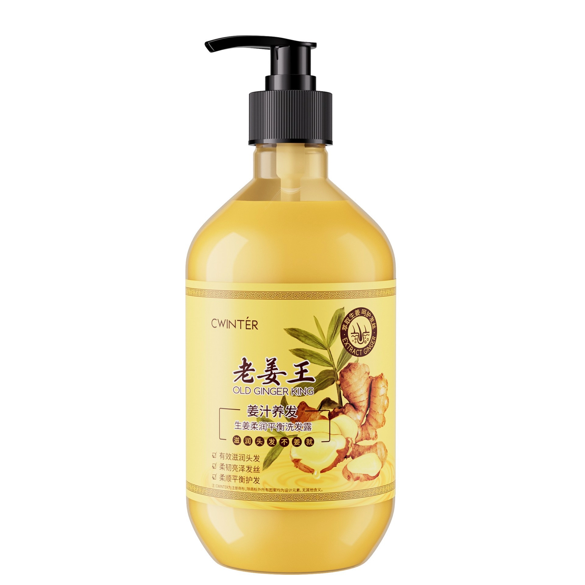 致朵 生姜柔润平衡洗发露 家用保湿滋润顺滑 男女通用 舒爽不干涩 飘逸 控油蓬松洗发水 滋养