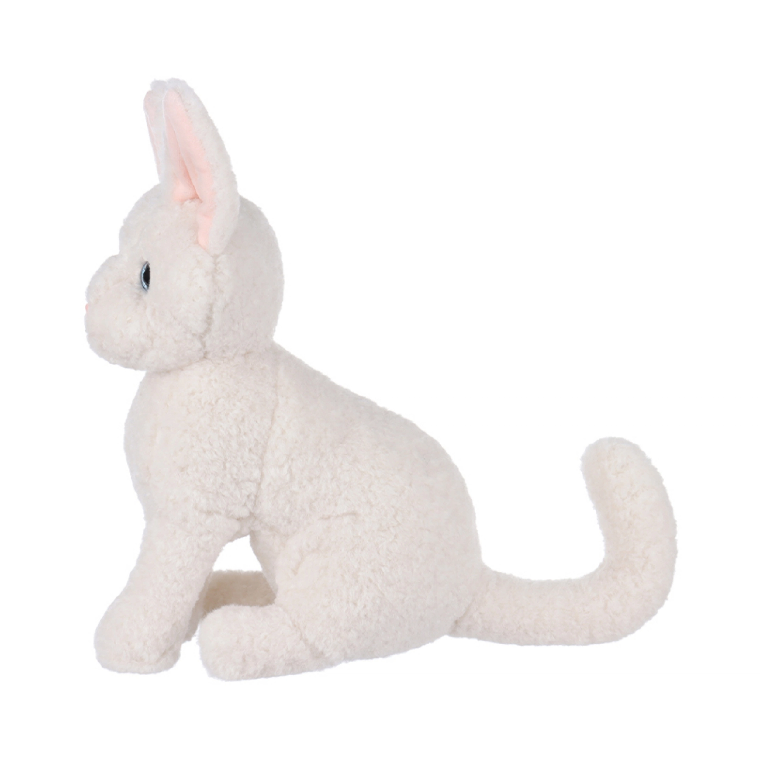 APRICOT LAMB 24cm