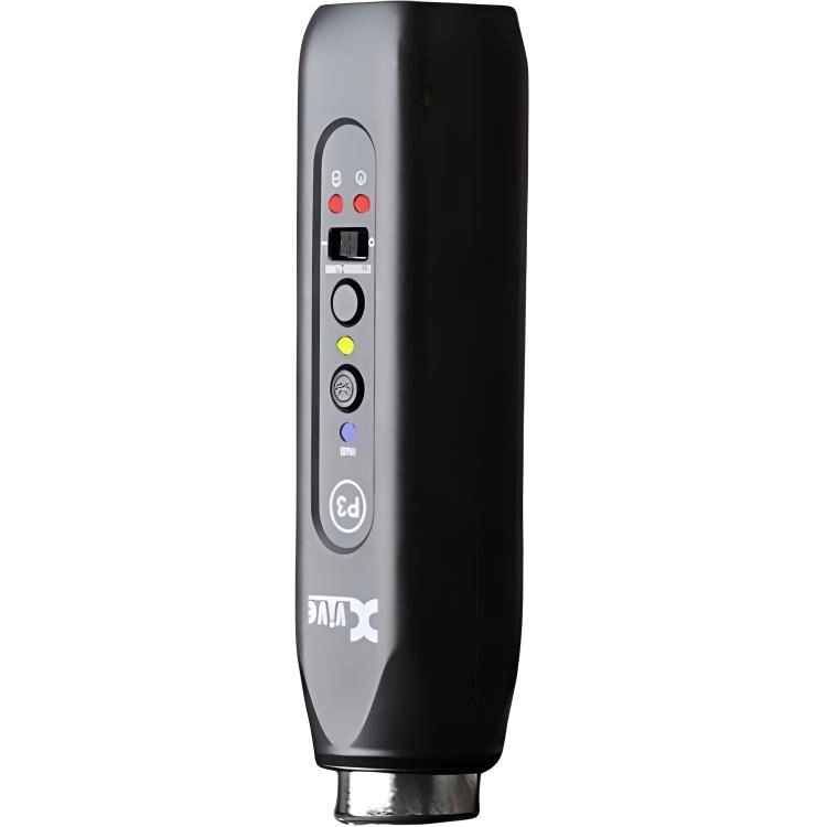 XVIVE P3P3D