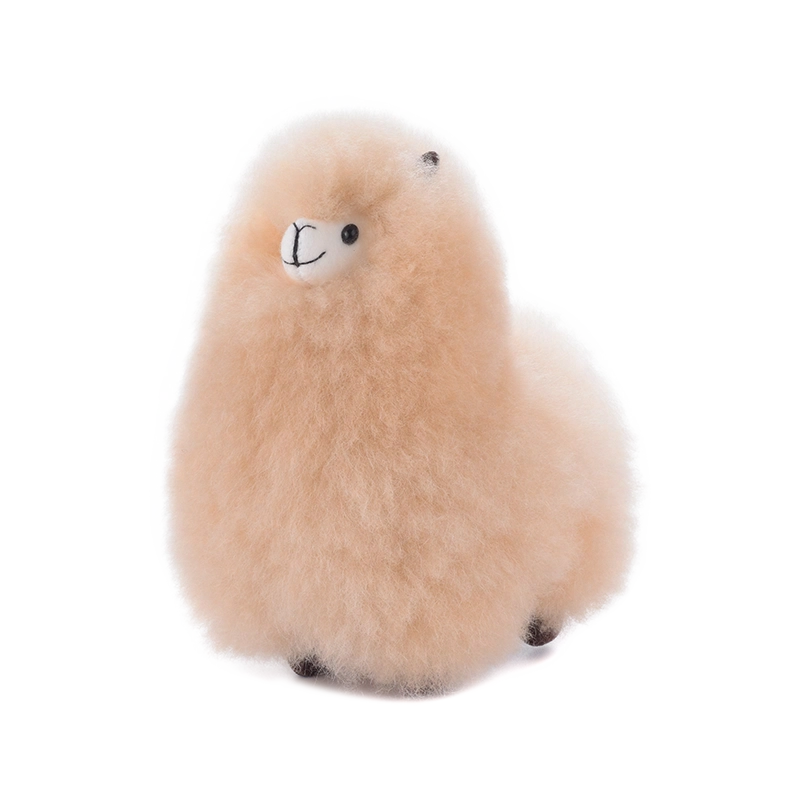 Warmpaca