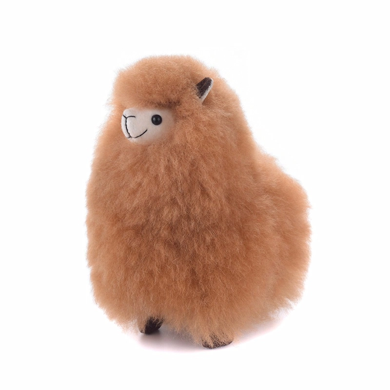 Warmpaca