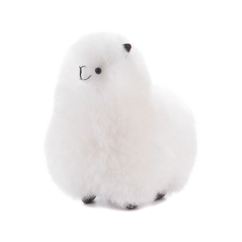 Warmpaca
