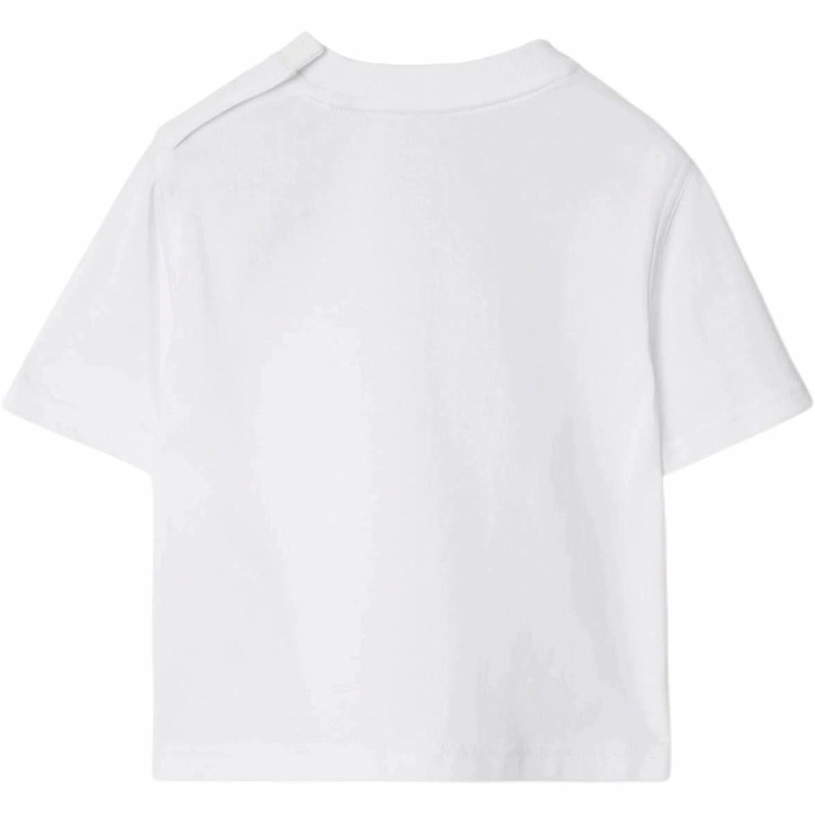 BurberryT FW24 Logo