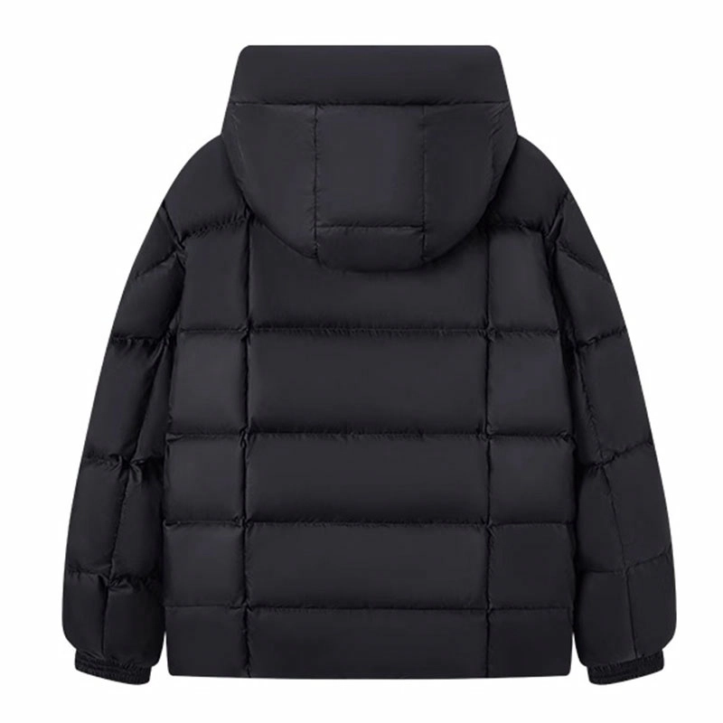 DILLO FW24