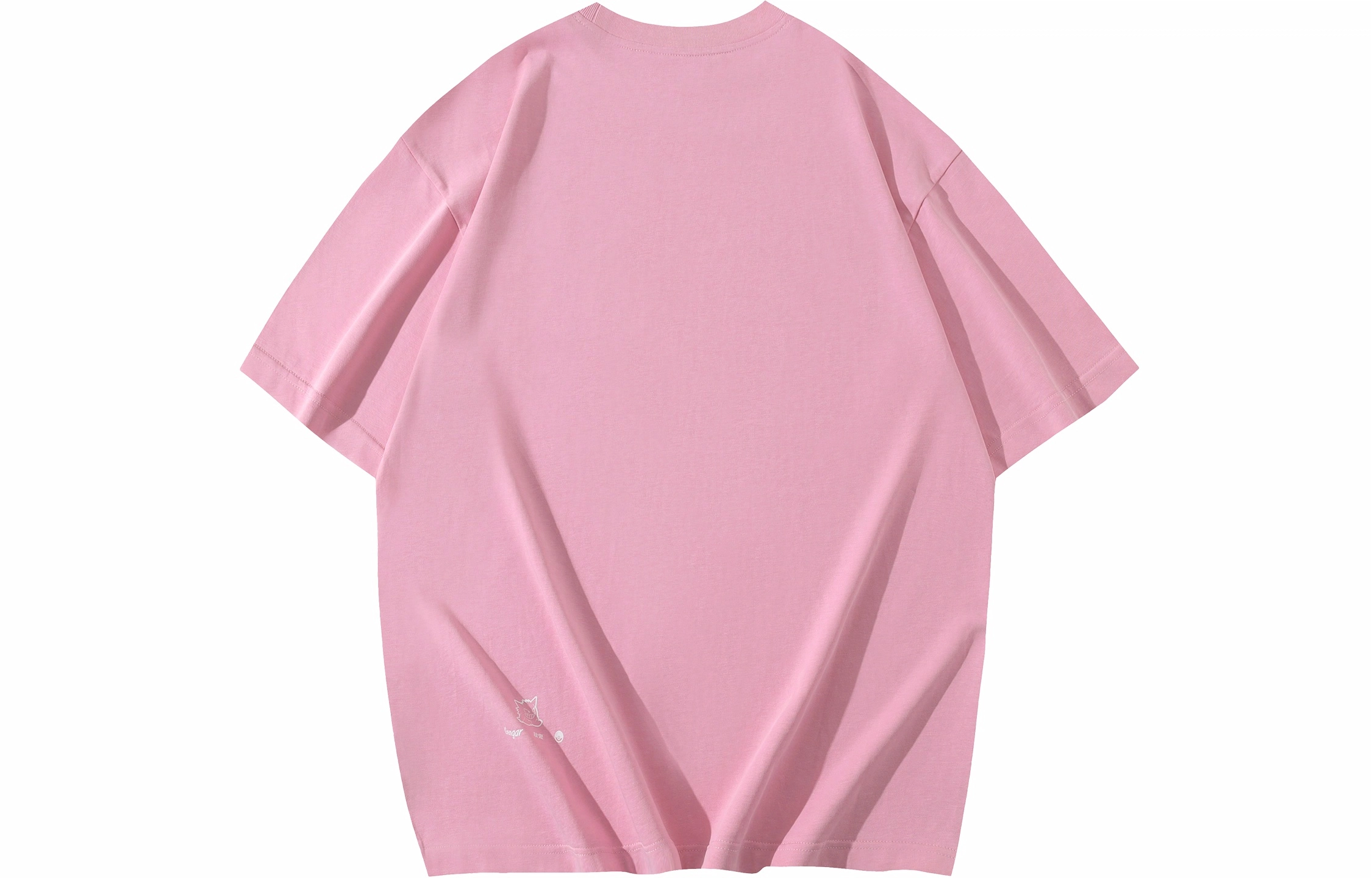 VEIDOORN x POKEMON T
