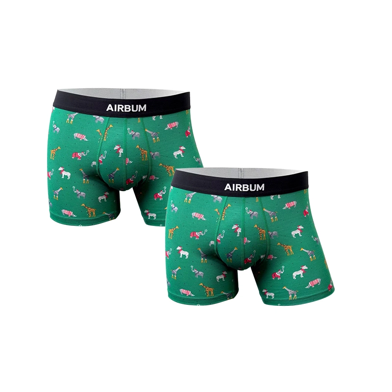 Airbum Underwear 3D