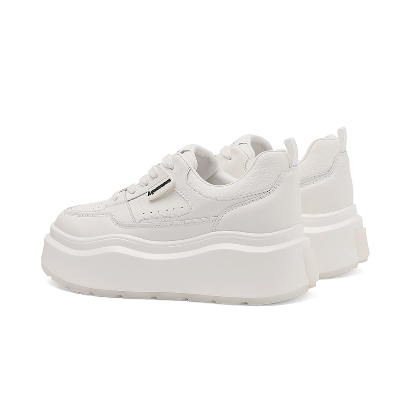 AQUASCUTUM