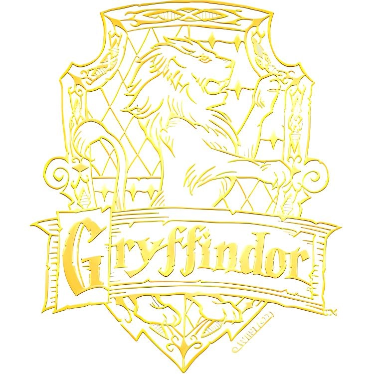 HARRY POTTER IP