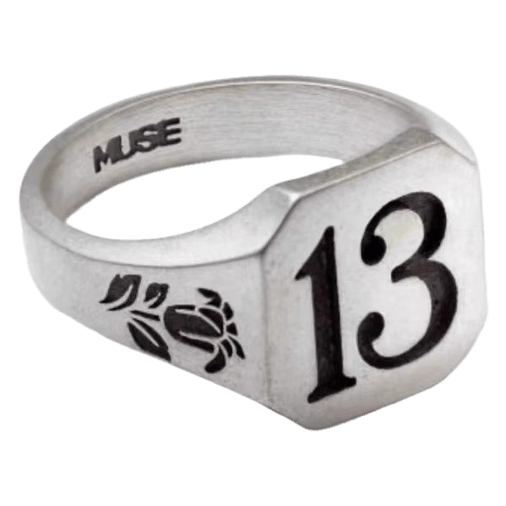 FLIM 13