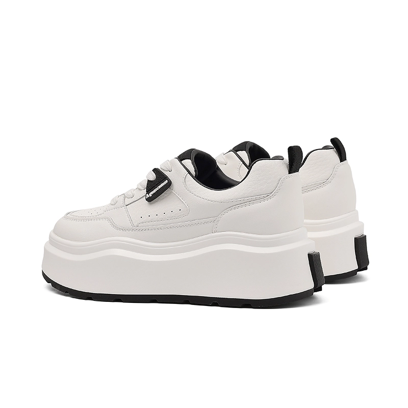 AQUASCUTUM