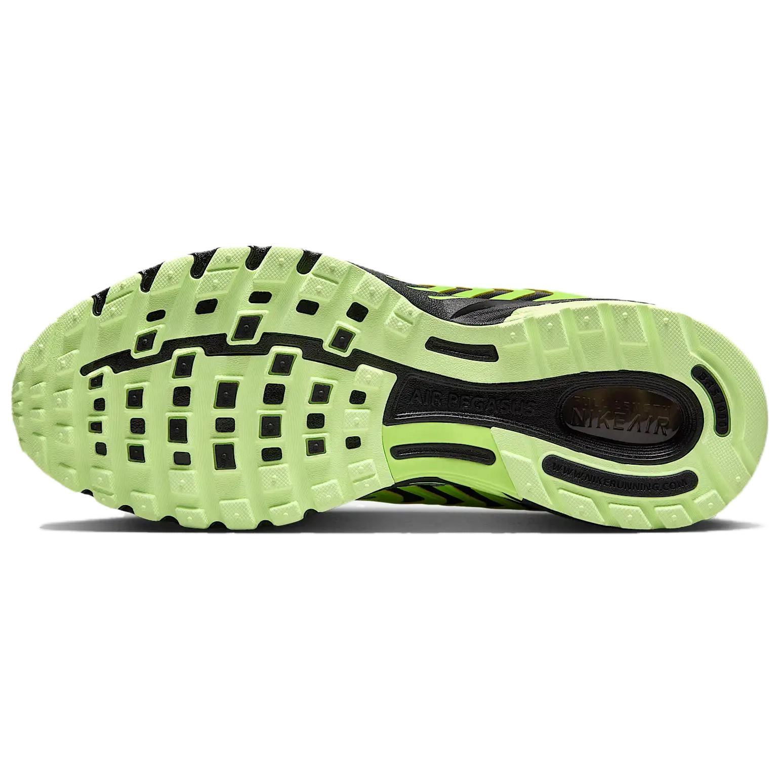 Nike Air Pegasus 2005