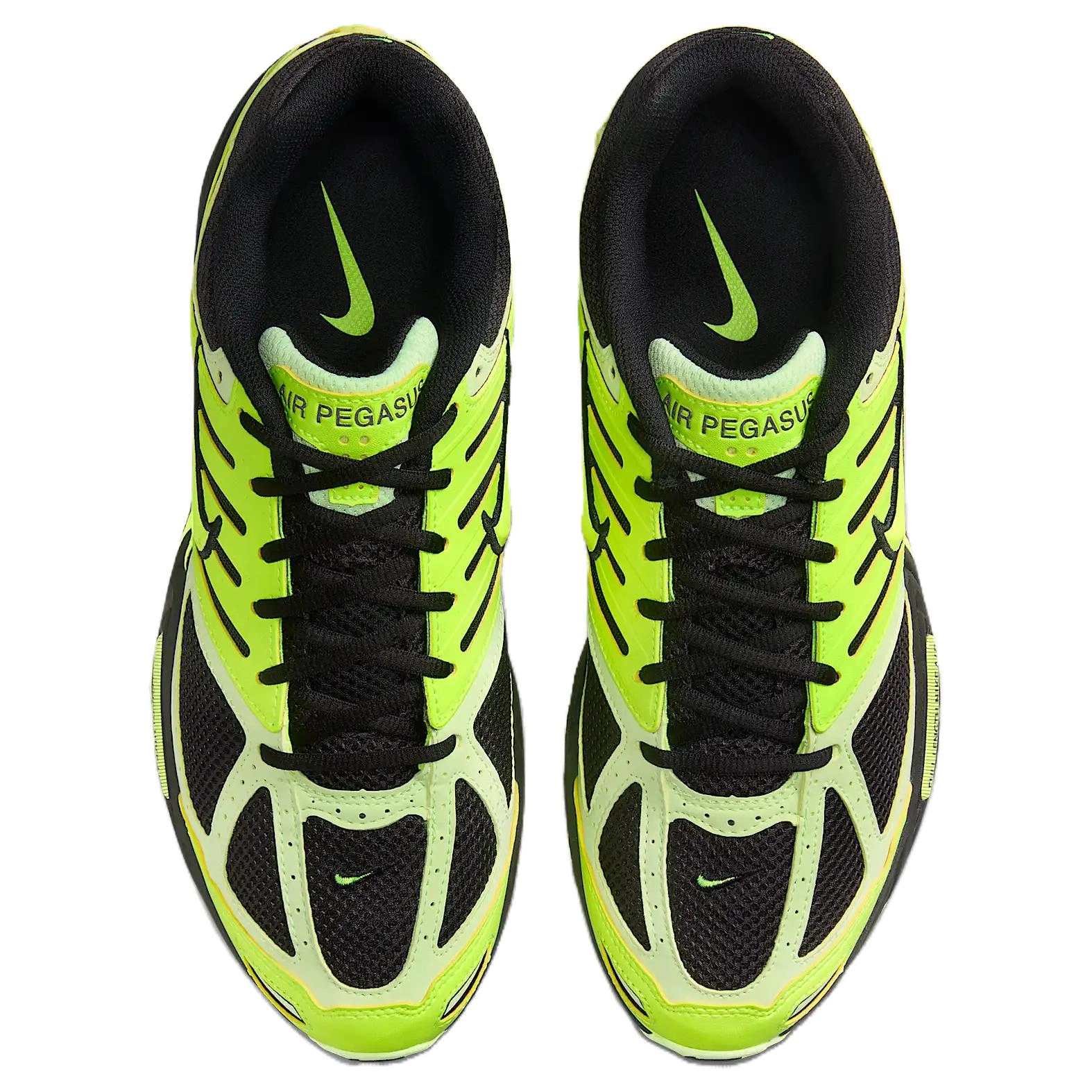 Nike Air Pegasus 2005