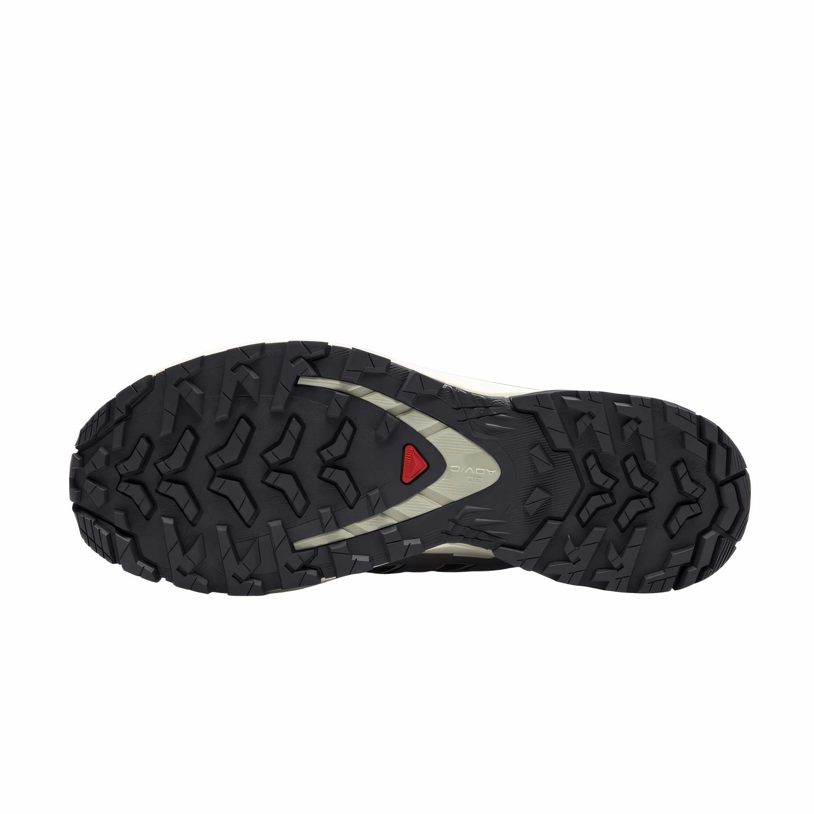 SALOMON XA Pro 3D V9 GTX