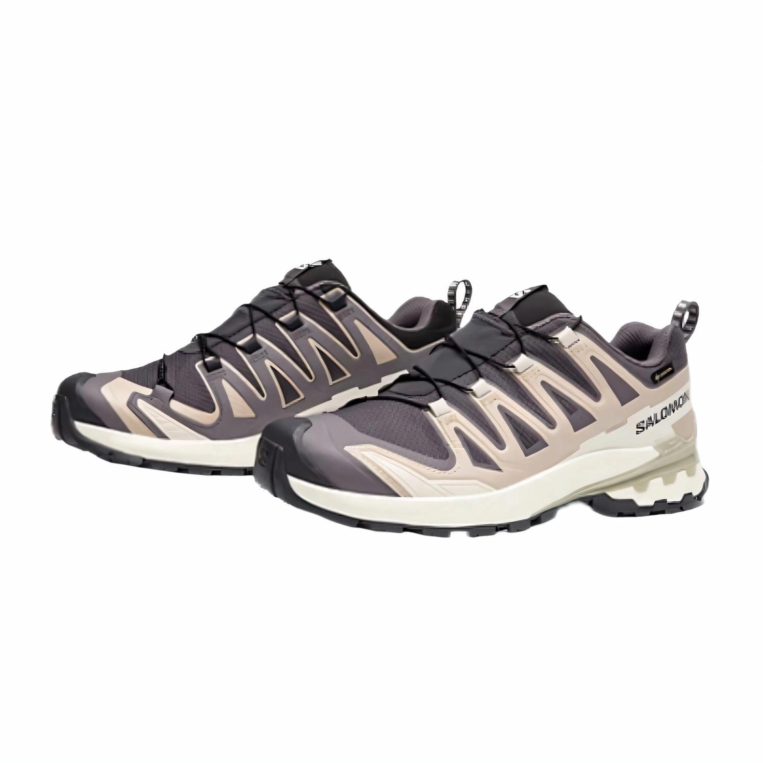 SALOMON XA Pro 3D V9 GTX