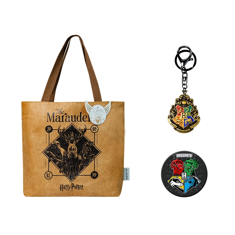 HARRY POTTER IP