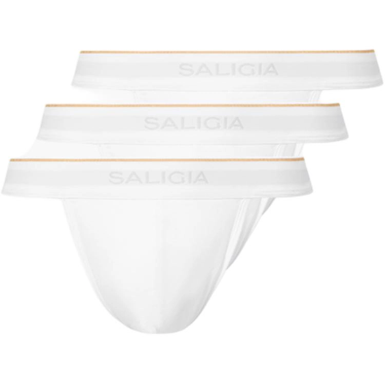 SALIGIA 3