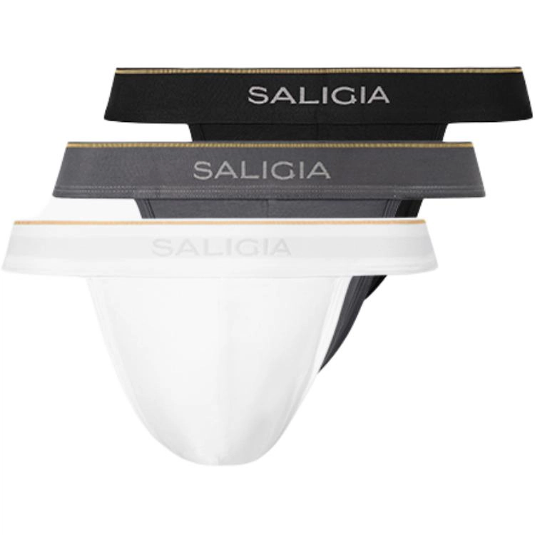 SALIGIA 3