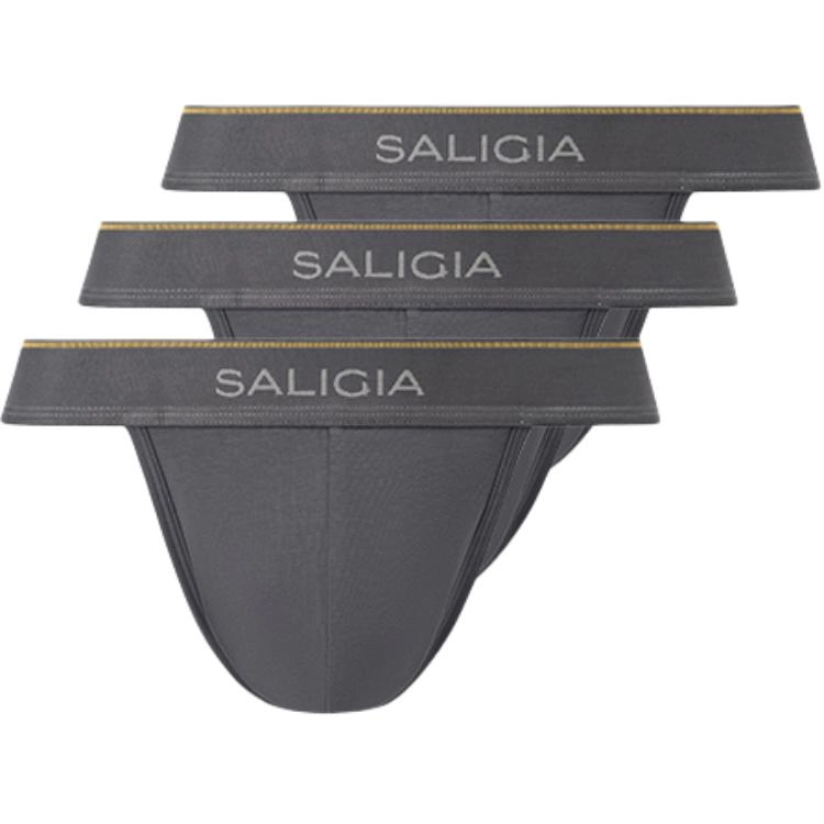 SALIGIA 3