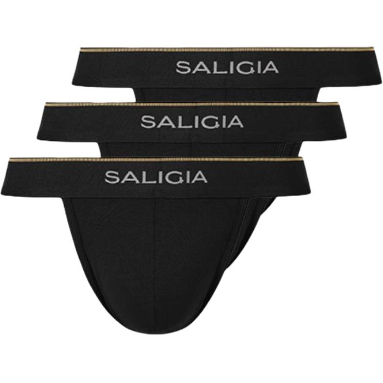 SALIGIA 3