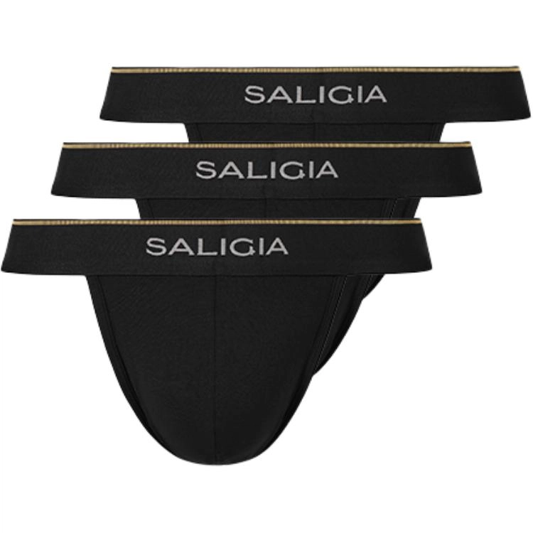SALIGIA 3