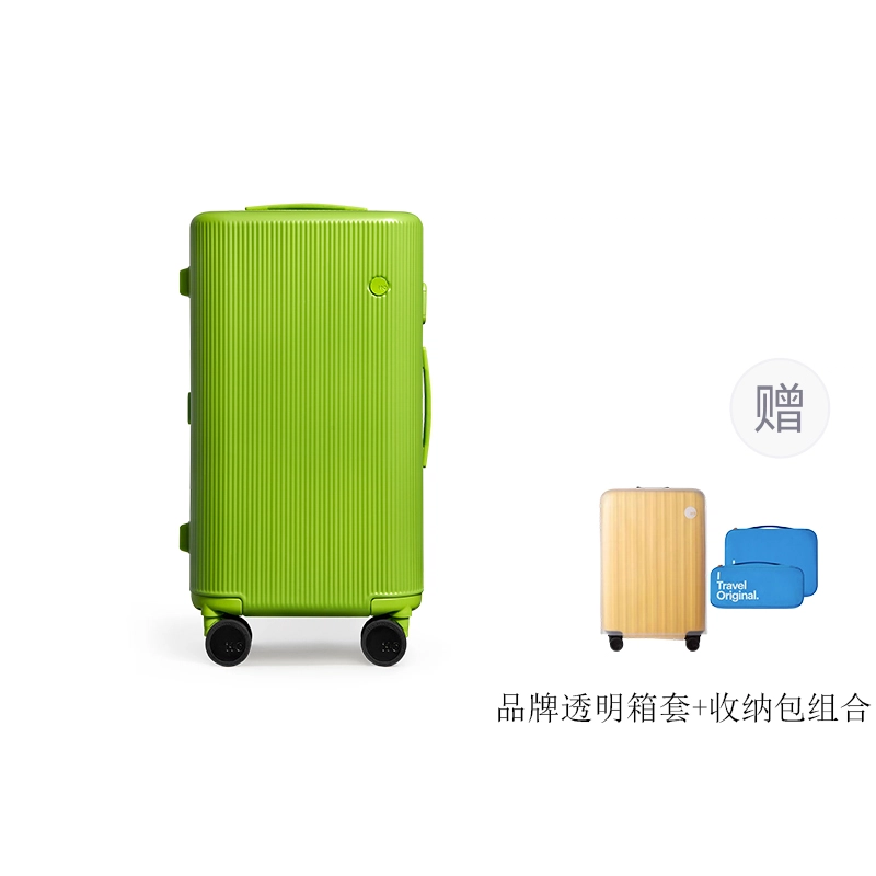 ito PISTACHIO 2 STRIPED TRUNK 22 PC