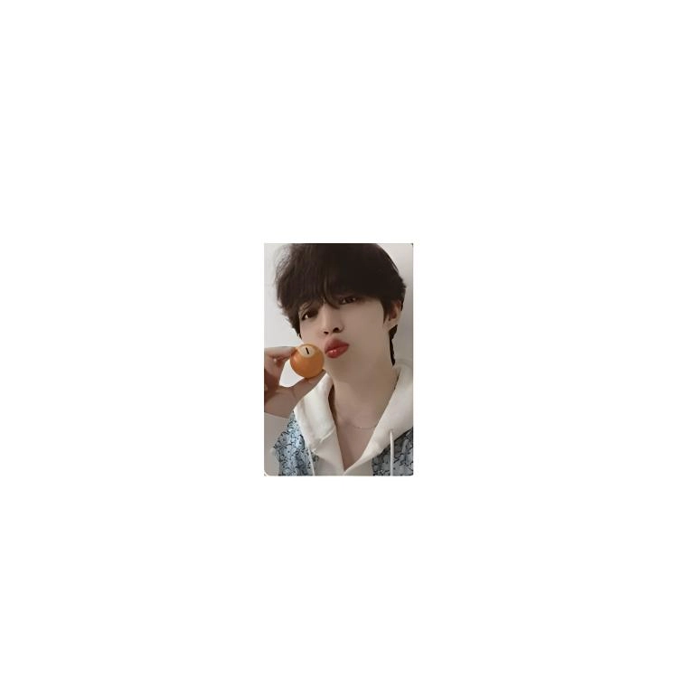 HYBE SEVENTEEN 8Your Choice