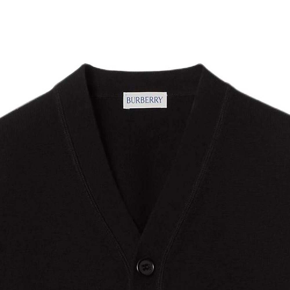 BurberryFW24 LogoV