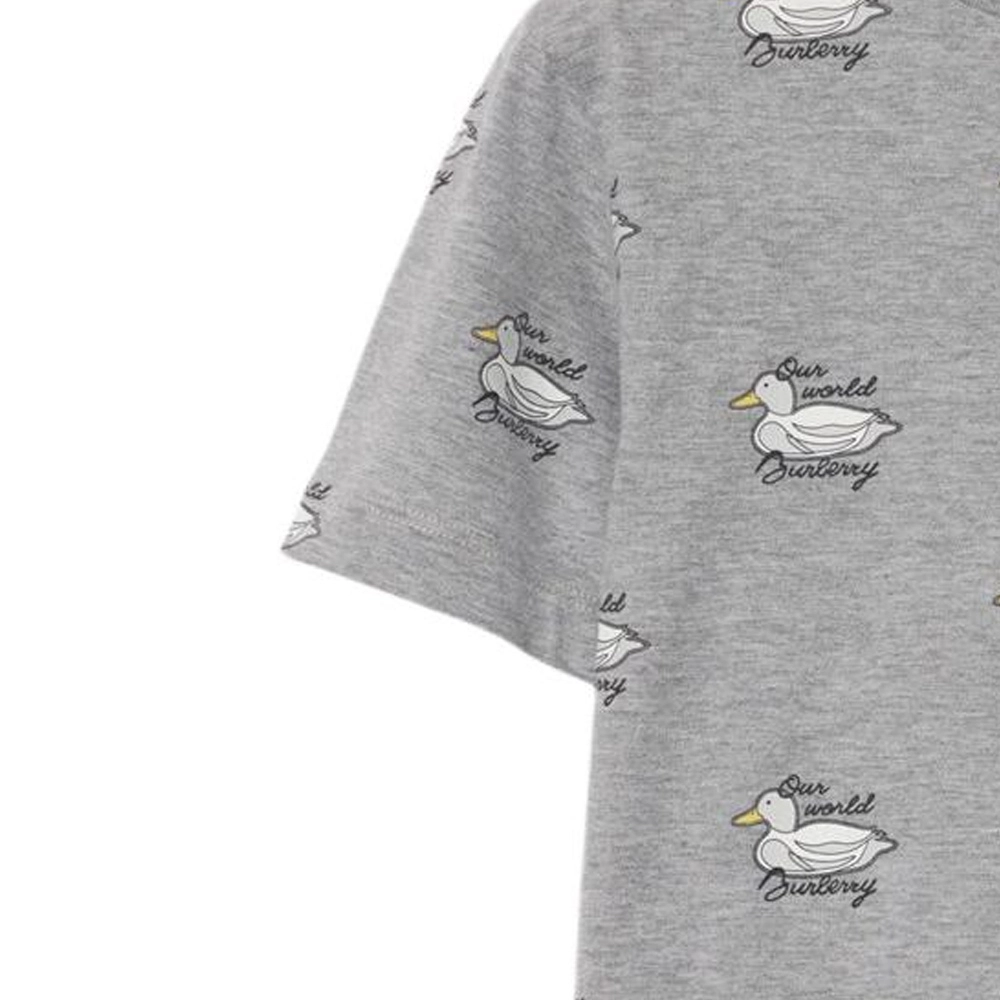 Burberry FW24 T