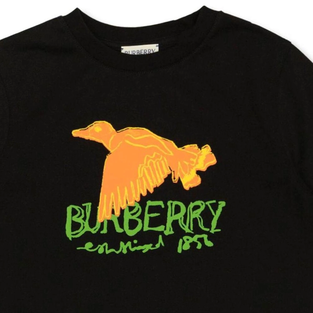 Burberry FW24 T