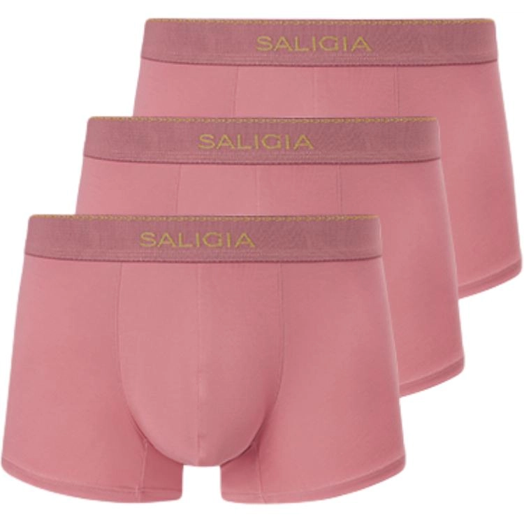 SALIGIA 3