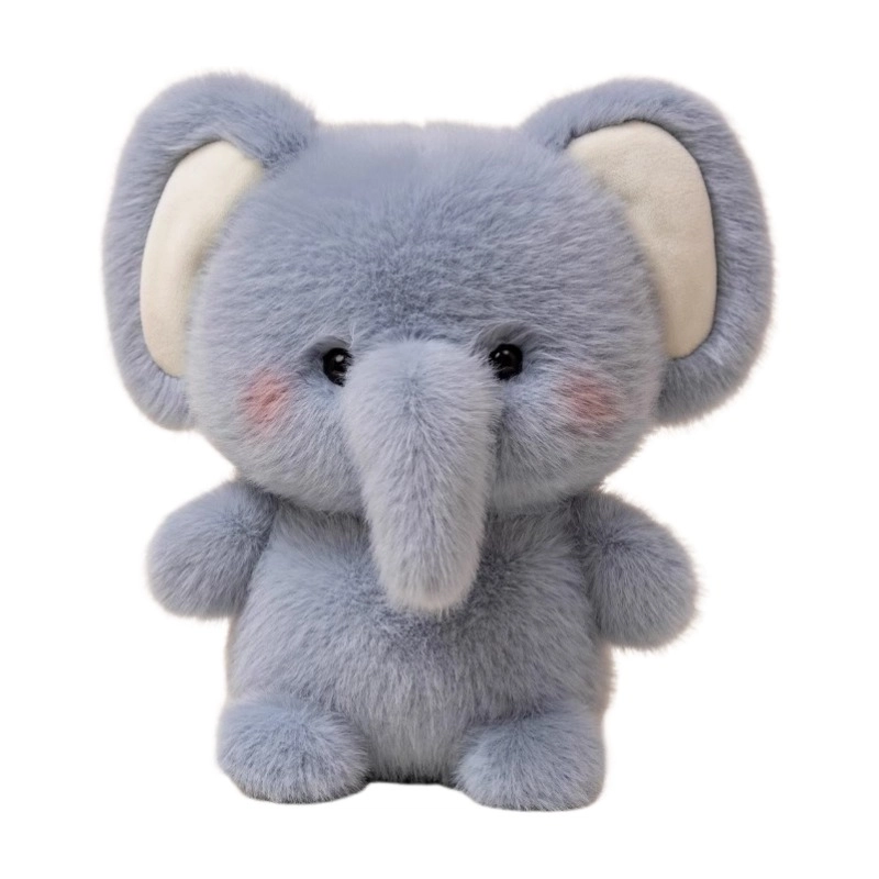 Brangdy 16cm
