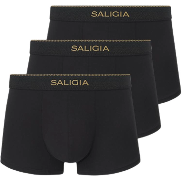 SALIGIA 3