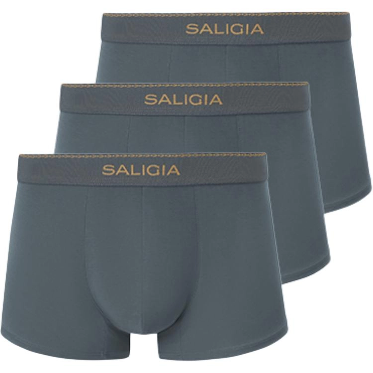 SALIGIA 3