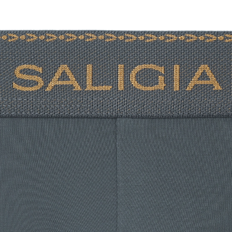 SALIGIA 3