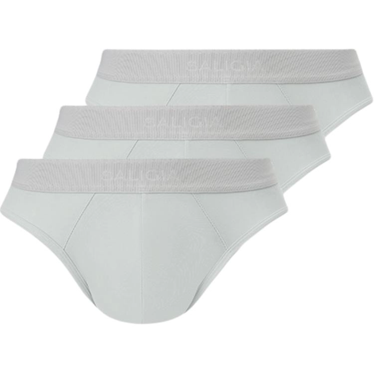 SALIGIA 3