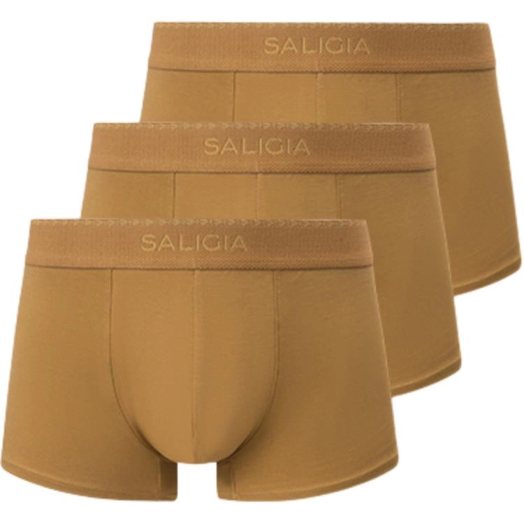 SALIGIA 140S