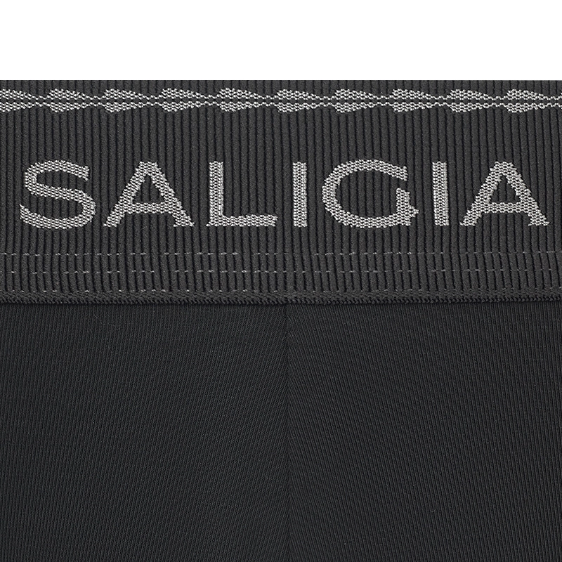 SALIGIA 3